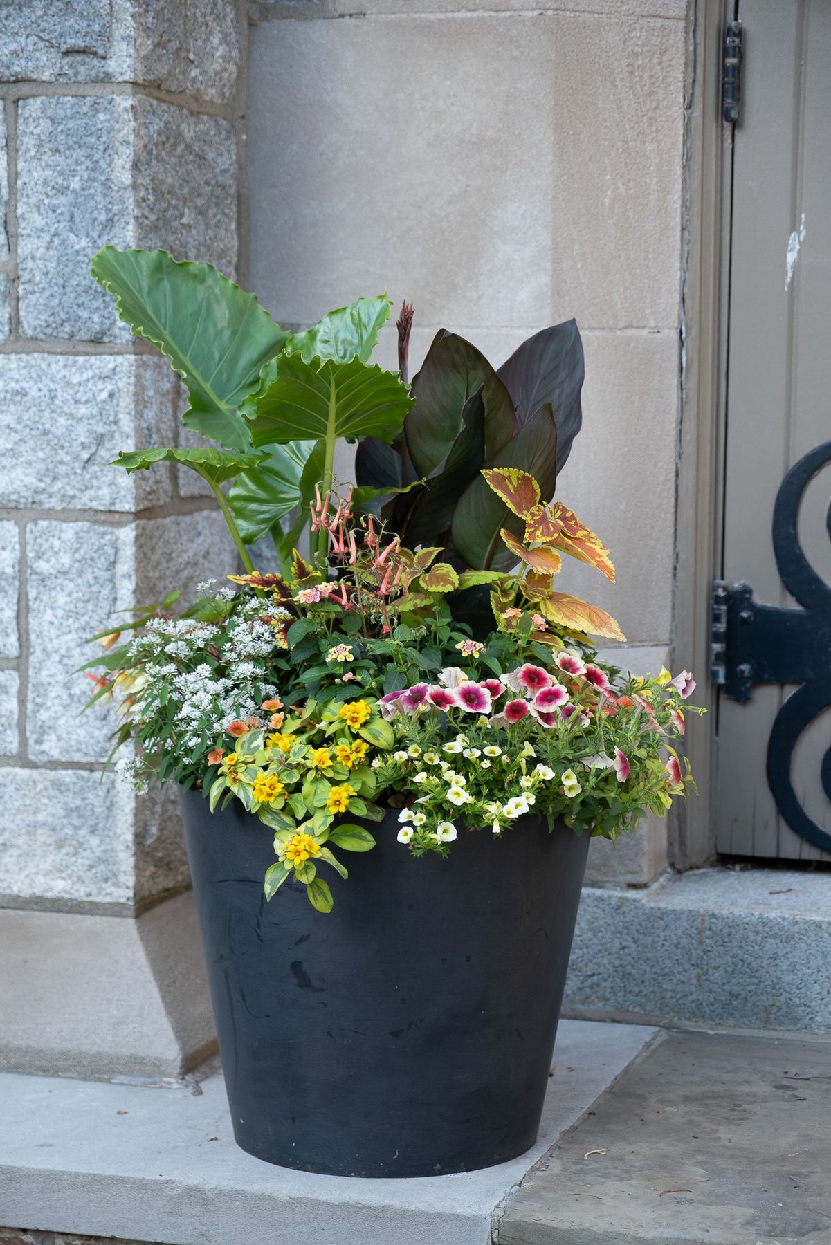 Enliven Planters summer container arrangement